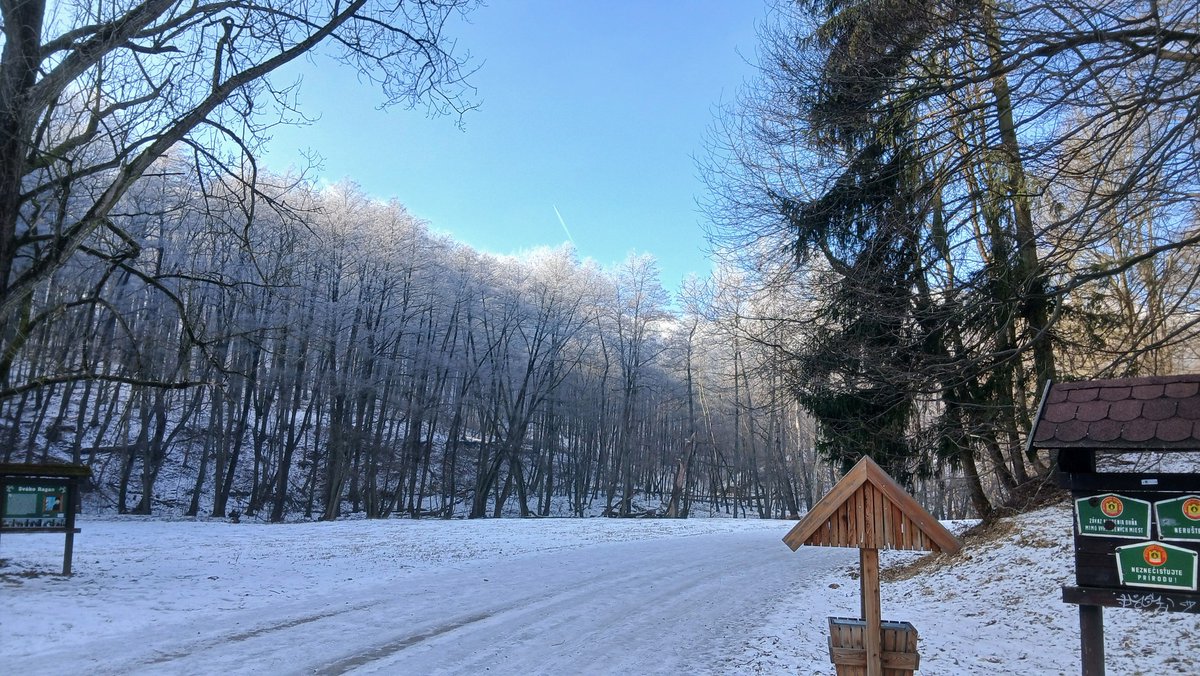 Mrazivo, klzko, ale nádherne. Nefrflime na dobu, v ktorej žijeme, v každej dobe možno vidieť a urobiť veľa dobrého. A napokon vždy príde jar ďalšia doba, ktorá bude iste tiež úžasná, ale nie bez trochu odolnosti a odvahy. Ako napísal Augustín my sme doba. Akí sme, taká bude.