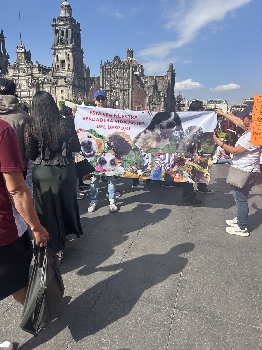 Buenos días #JusticiaParaLosFranciscanitos