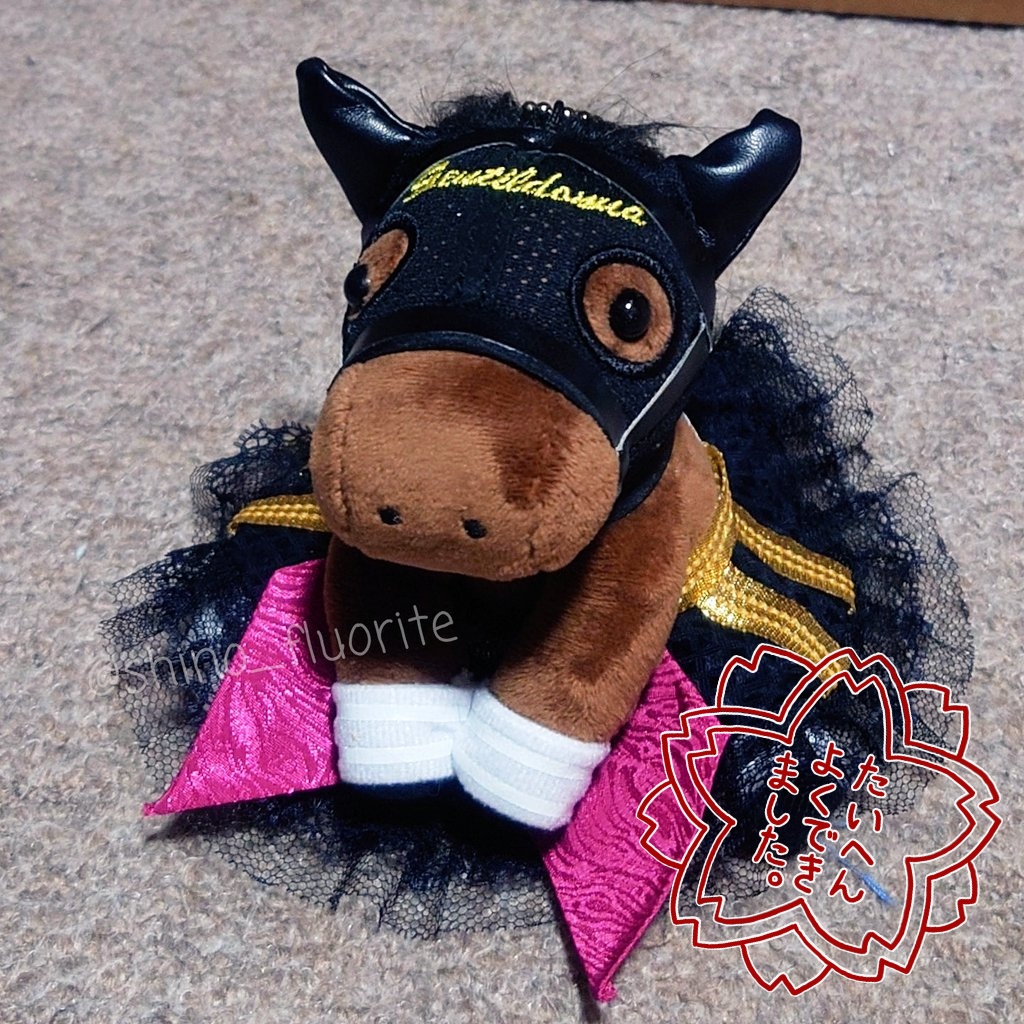 先日お迎えしたジェンティルドンナにお洋服をご用意。 サンデーの子