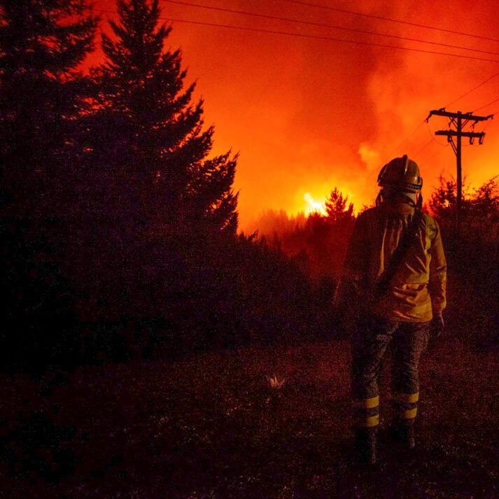 a pesar de entender que es un frívolo gobierno de ignorantes, me sigue impresionando la indiferencia

Parque Los Alerces.