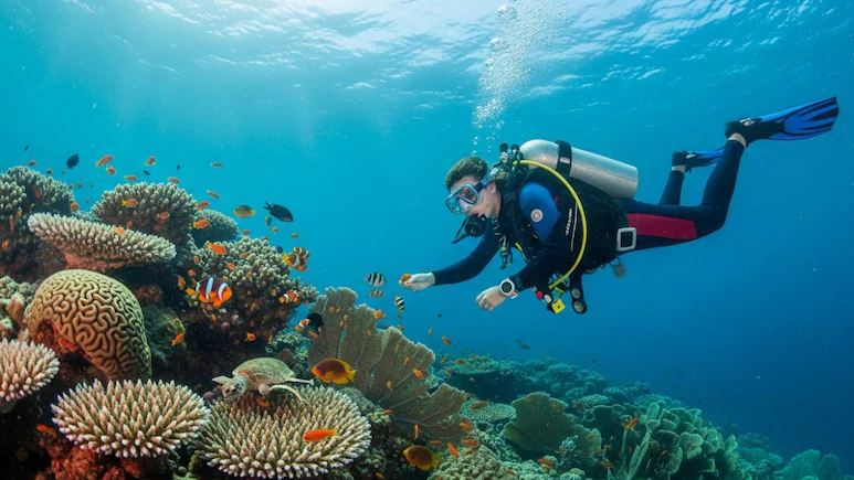 NDTVFood's tweet image. 6 Essential Tips Every First-Time Scuba Diver Should Know
ndtv.com/travel/6-essen…
#scuba #diving #tips