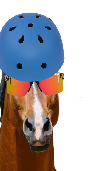 Flying Ketamine Horse tweet media