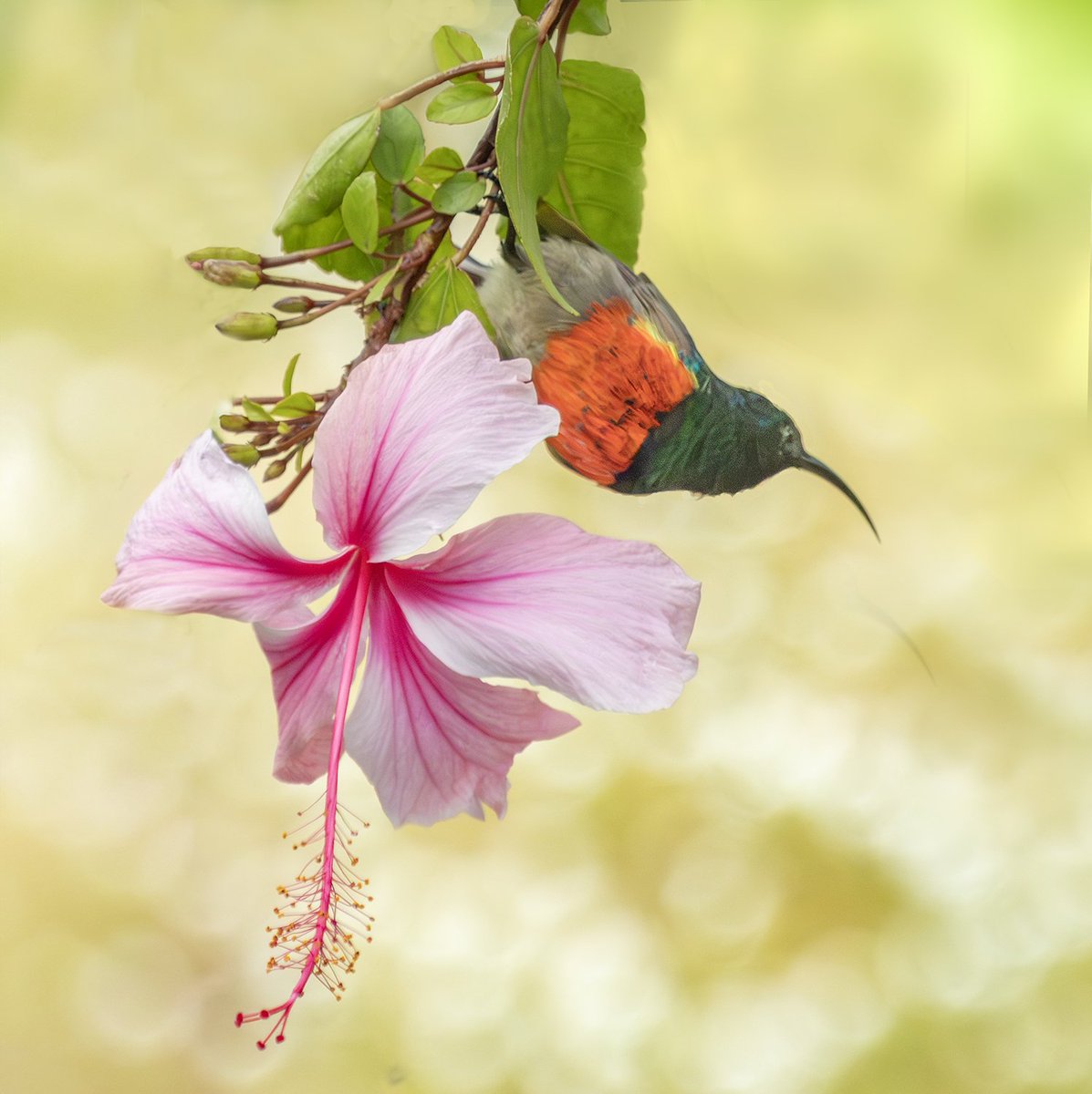 Photography Tricks and Tips tweet media