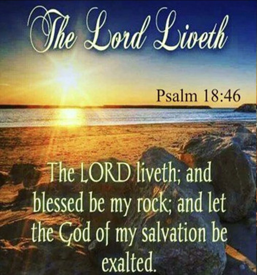 OliveTreeMin's tweet image. #blessed  #savior