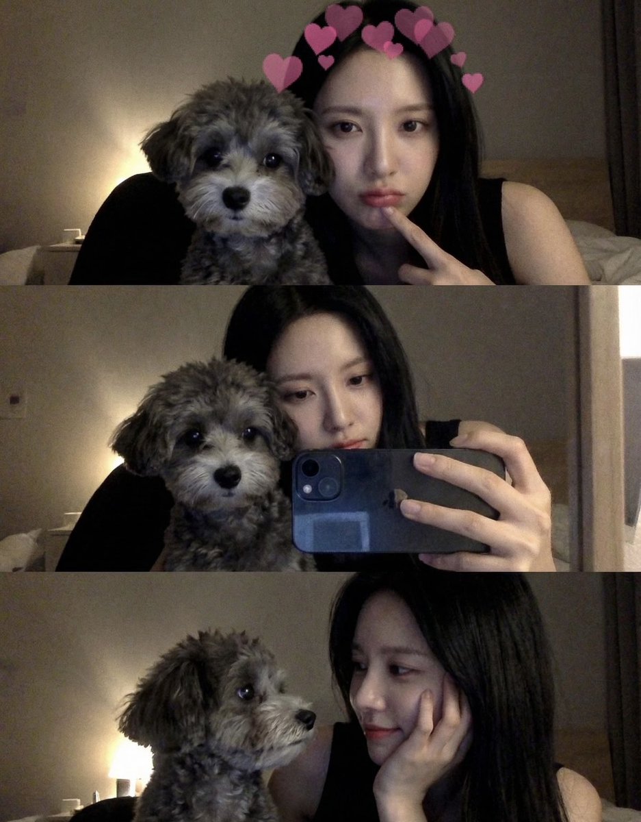 BONA_archive_'s tweet image. 🐾💕