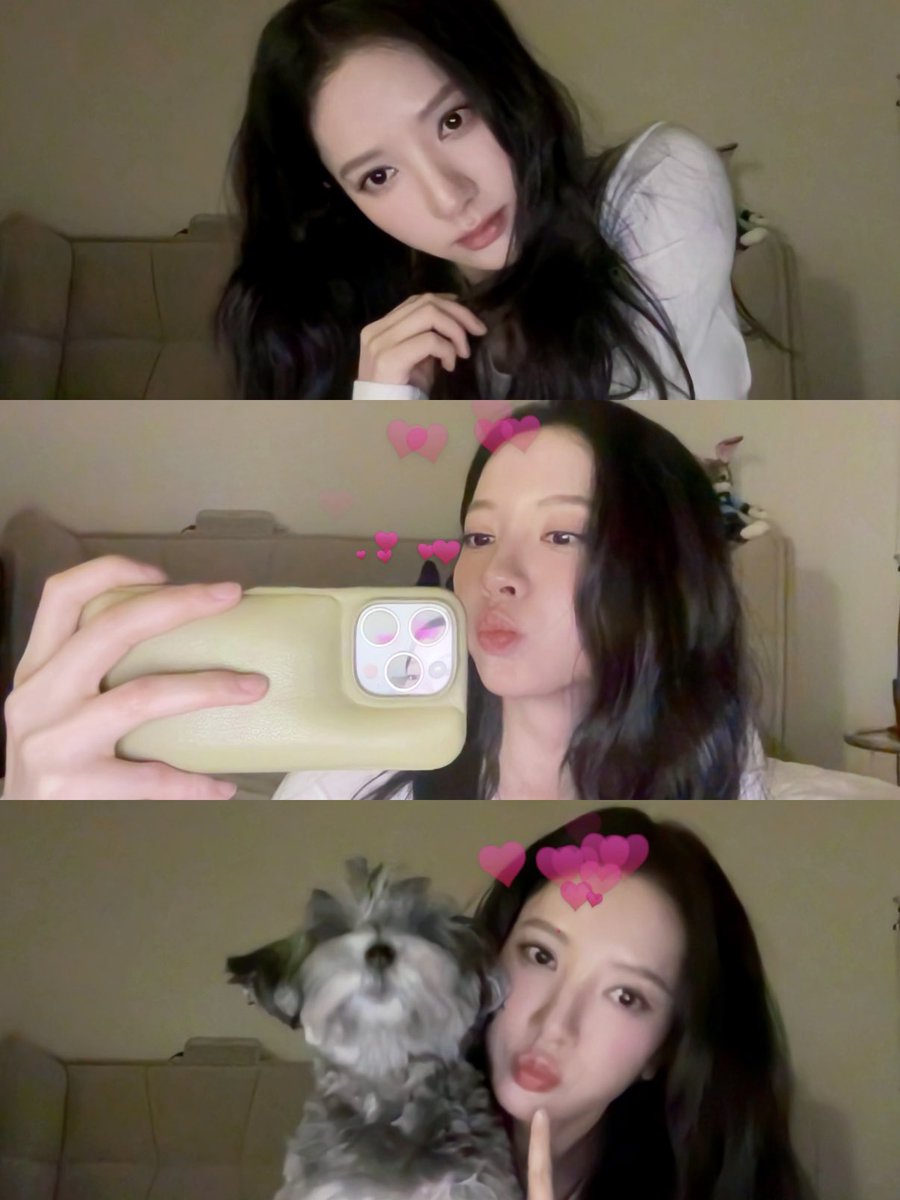 BONA_archive_'s tweet image. 🐾💕