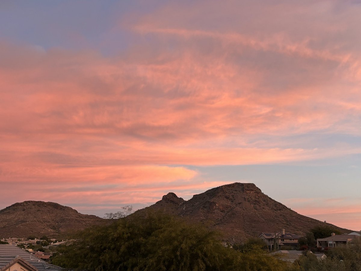 Matt Coviello tweet media