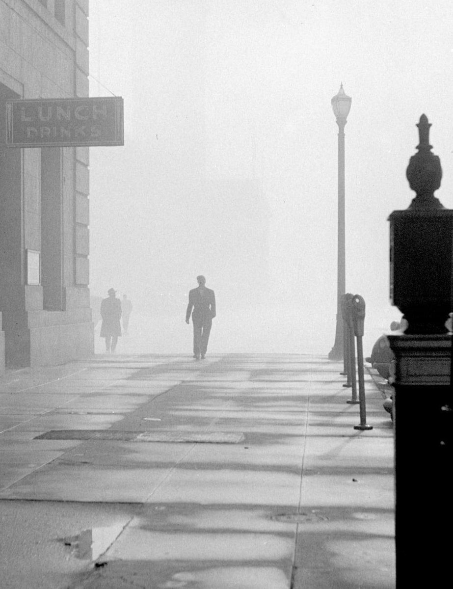 "One ought, every day at least, to hear a little song, read a good poem, see a fine picture, and, if it were possible, to speak a few reasonable words."

Johann Wolfgang von Goethe

📷Fred Lyon