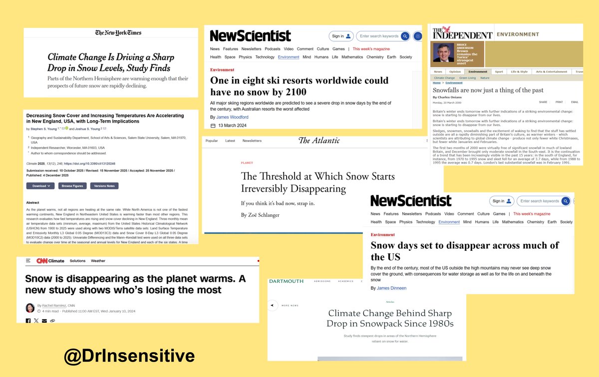 Dr. Insensitive Jerk tweet media