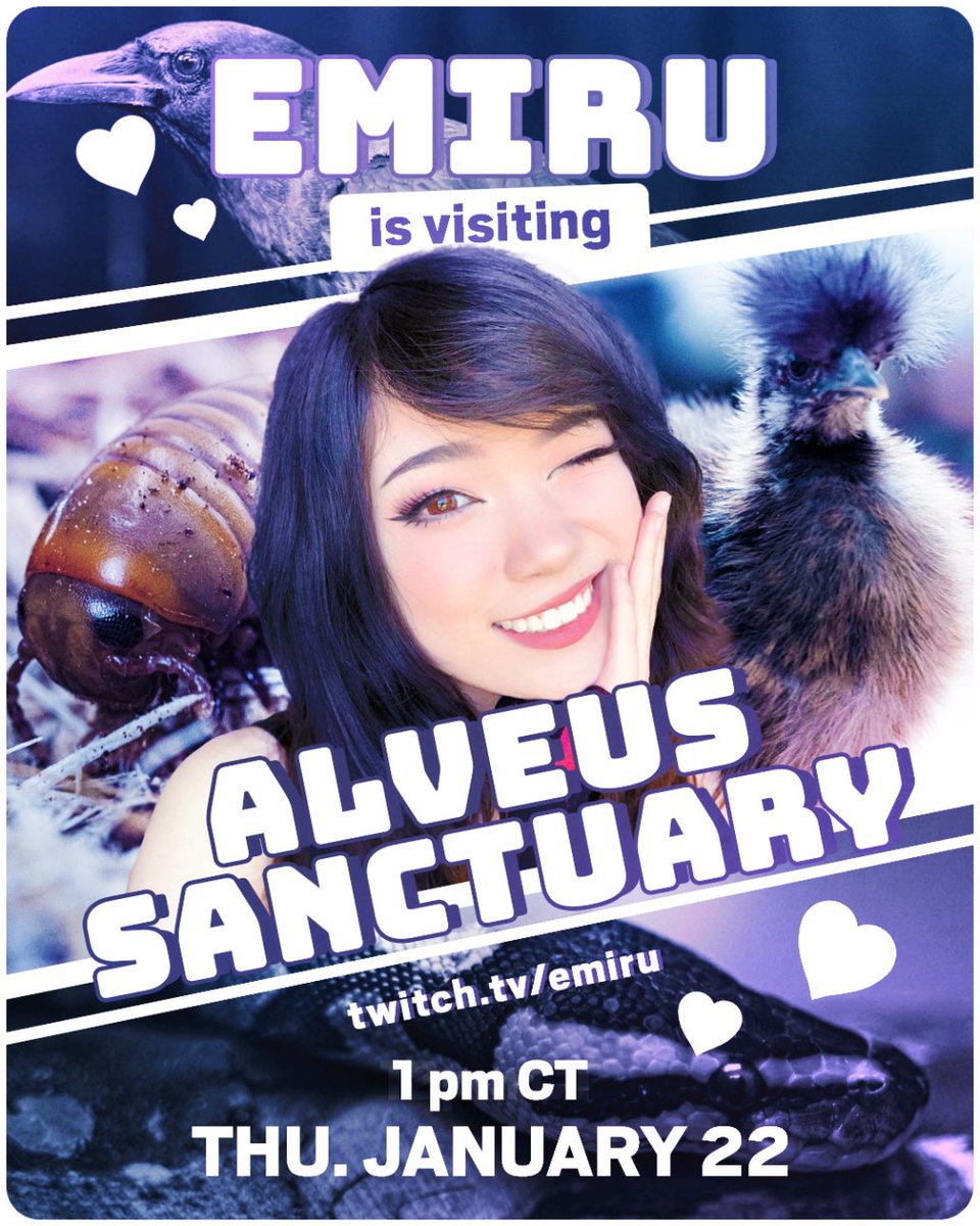 Alveus Sanctuary tweet media