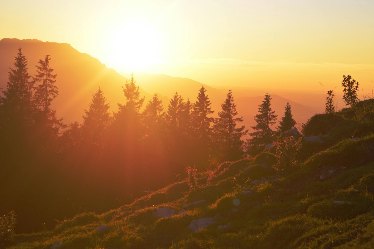 EPA_Kids's tweet photo. “Every sunrise whispers: you have another chance to shine.” – Anonymous 

Today is a new page – write something beautiful 

#NewDayNewYou #PositiveVibes #Gratitude https://t.co/IslfsfjM3G