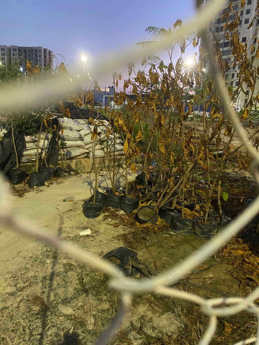 arman🦦 tweet media