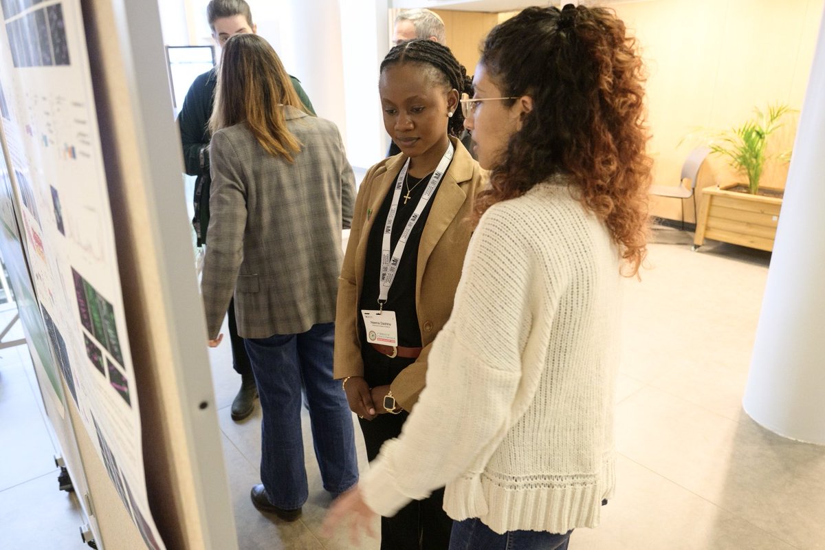 Bridges of Science Program tweet media