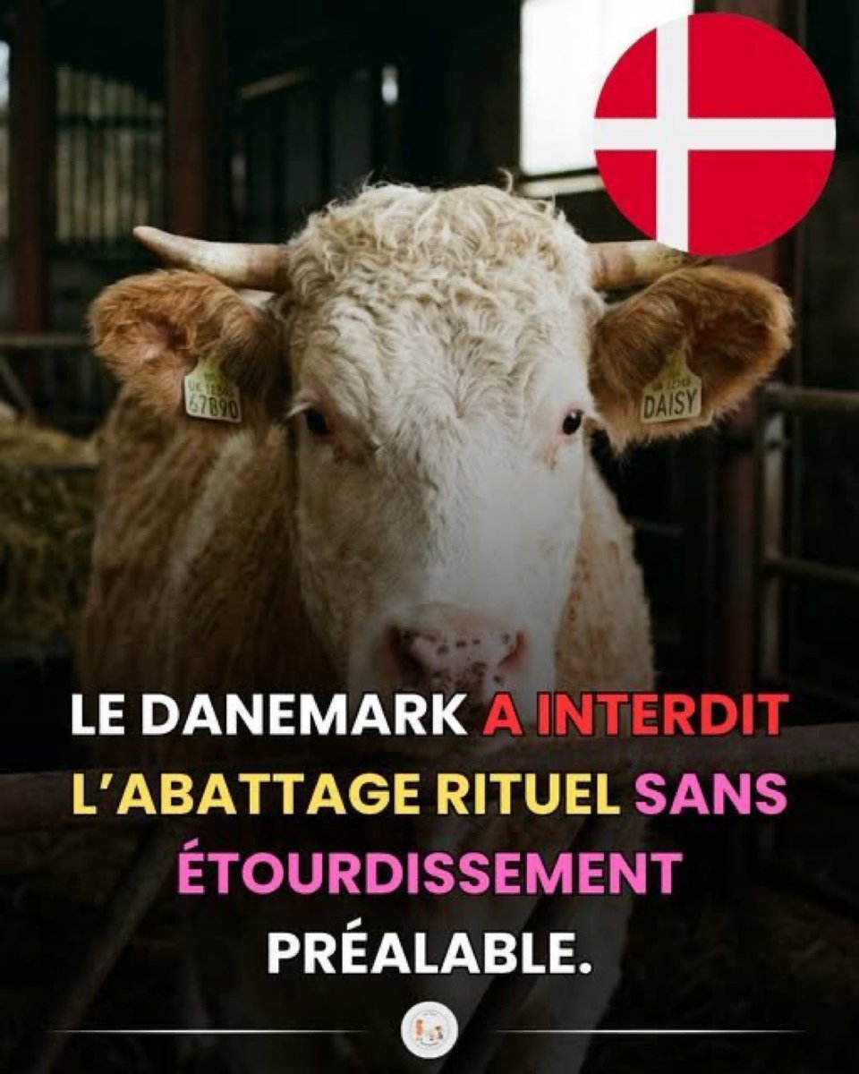 Giosi_Borselli's tweet image. 