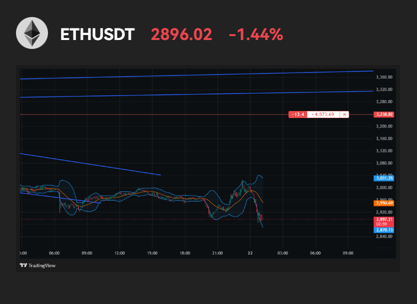 Duce 💯 | Your Average Crypto Guy tweet media