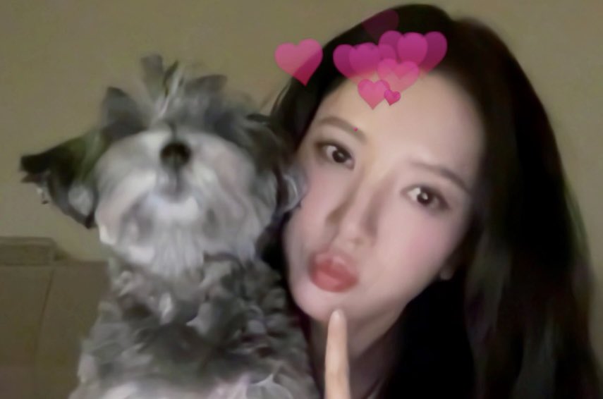 real pet owner struggles