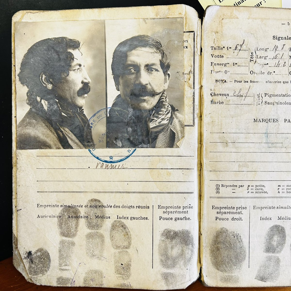 Greg Wolf tweet media