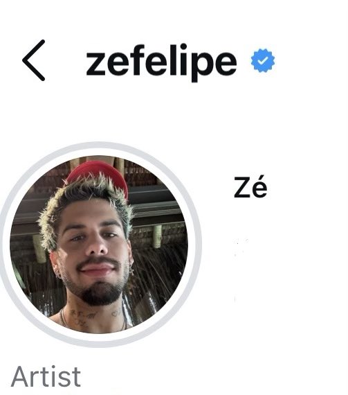 Info Zé Felipe tweet media