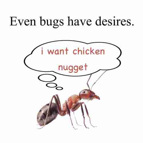 gaz (@nyazsche) on Twitter photo 