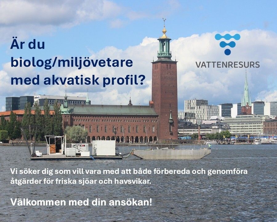 Är du biolog/miljövetare med akvatisk inriktning? Vi söker dig som vill vara med att både förbereda och genomföra åtgärder för friska sjöar och havsvikar.
Välkommen med din ansökan!
studentconsulting.com/sv/lediga-jobb…