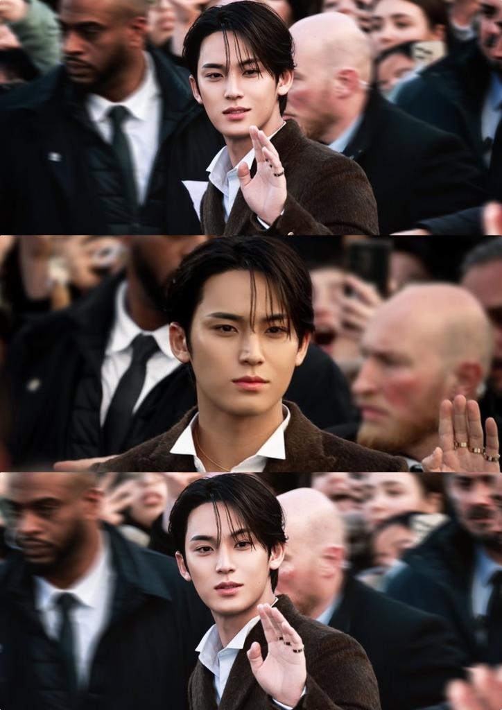 mingyu pics tweet media