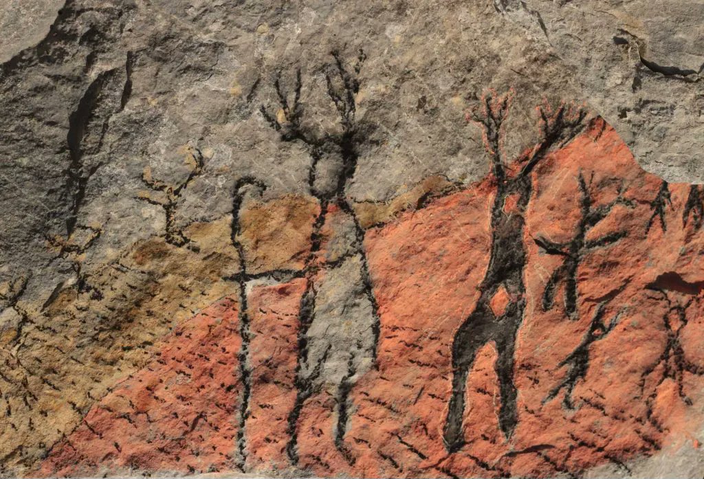 DarkMountainProject tweet media