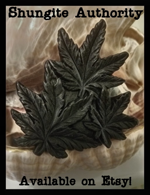 Sean M O'Rourke tweet media