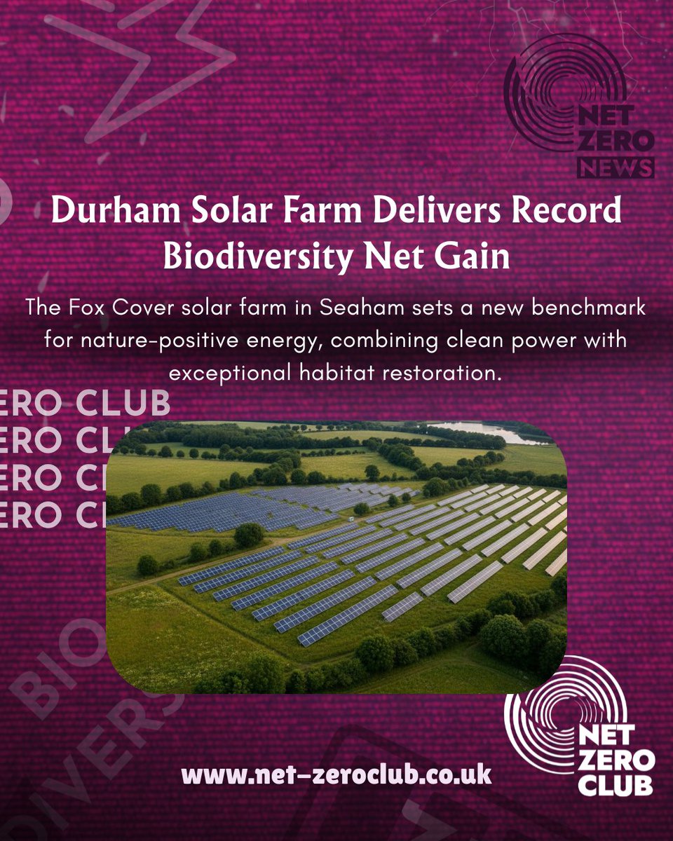 Net_Zero_Club's tweet image. 📖 Read the full article 👉: news.net-zeroclub.co.uk/durham-solar-f…

#NetZero #Biodiversity #NetZeroScotland