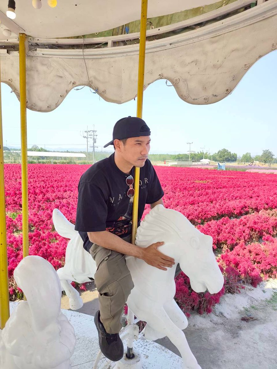 kung3122's tweet photo. อย่างดีด🏇🏇🏇😂😂😂
#วังม่วง
#พัฒนานิคมซอย12 
#ลพบุรี https://t.co/9OkCWYWk8w