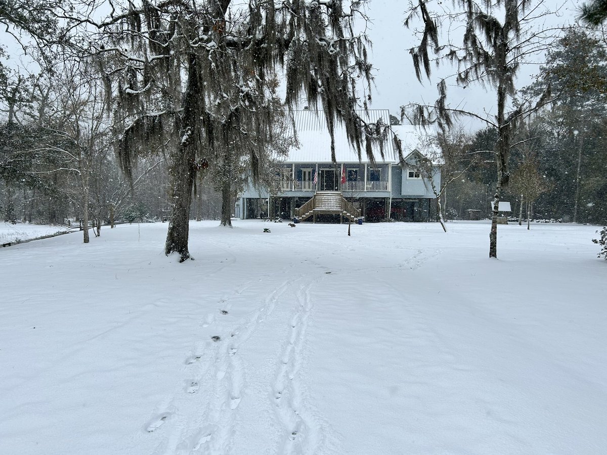 Sea-Gate 🇺🇸 tweet media