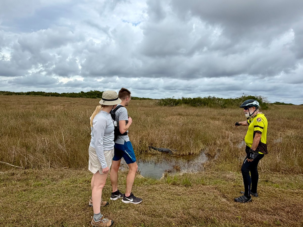 EvergladesNPS's tweet photo. π΄ββοΈ Join the Mobile Volunteer Patrol Training on Jan 31, 8:30a-4p at Shark Valley! RSVP: EVER_MVP@nps.gov #EvergladesNationalPark #Everglades #Bike #EvergladesMVP #NPSVIP https://t.co/ujnEFTw6Wk