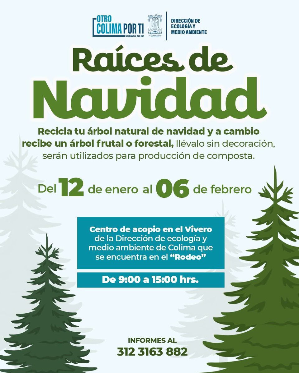 ¡Es momento de darle un nuevo uso a tu árbol de Navidad! 🎄♻️

Llévalo al centro de acopio ubicado en el vivero de “El Rodeo”, en un horario de 9:00 de la mañana a 3:00 de la tarde. Cuidar el medio ambiente es tarea de todas y todos.

¡Juntas y juntos construimos #OtroColimaPorTi