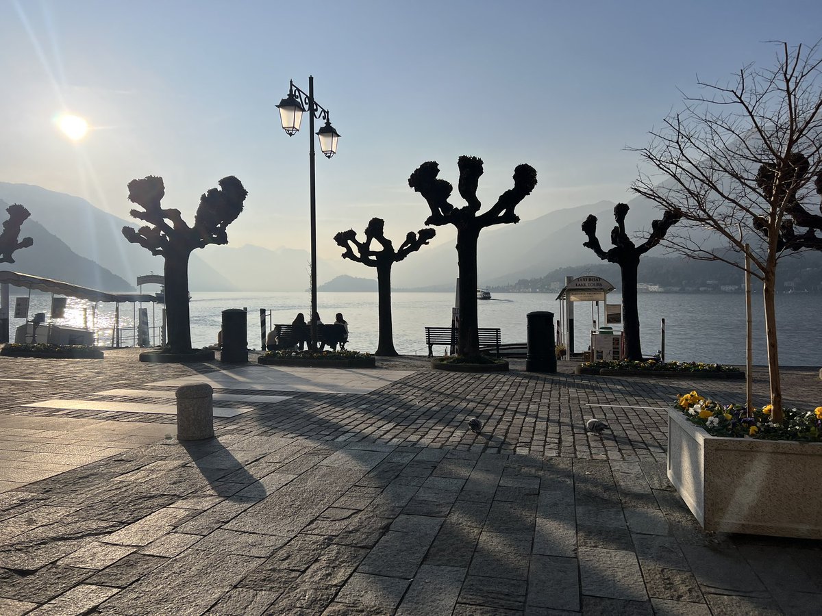 Samara E Cohen tweet media