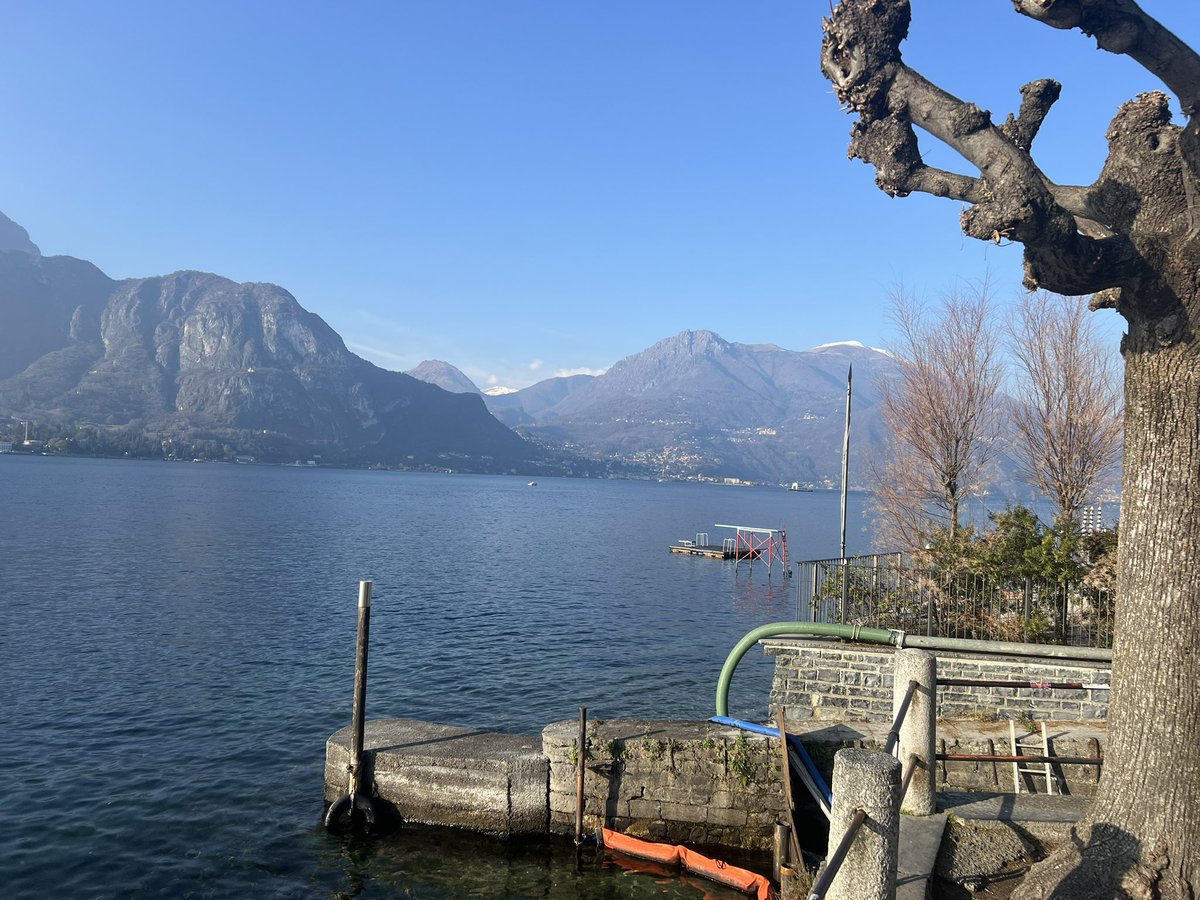 Samara E Cohen tweet media