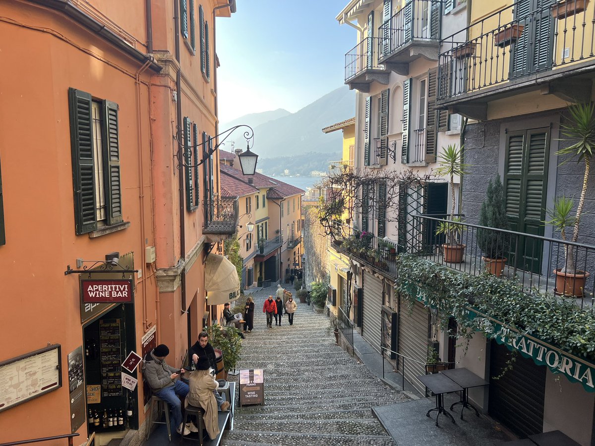 Samara E Cohen tweet media