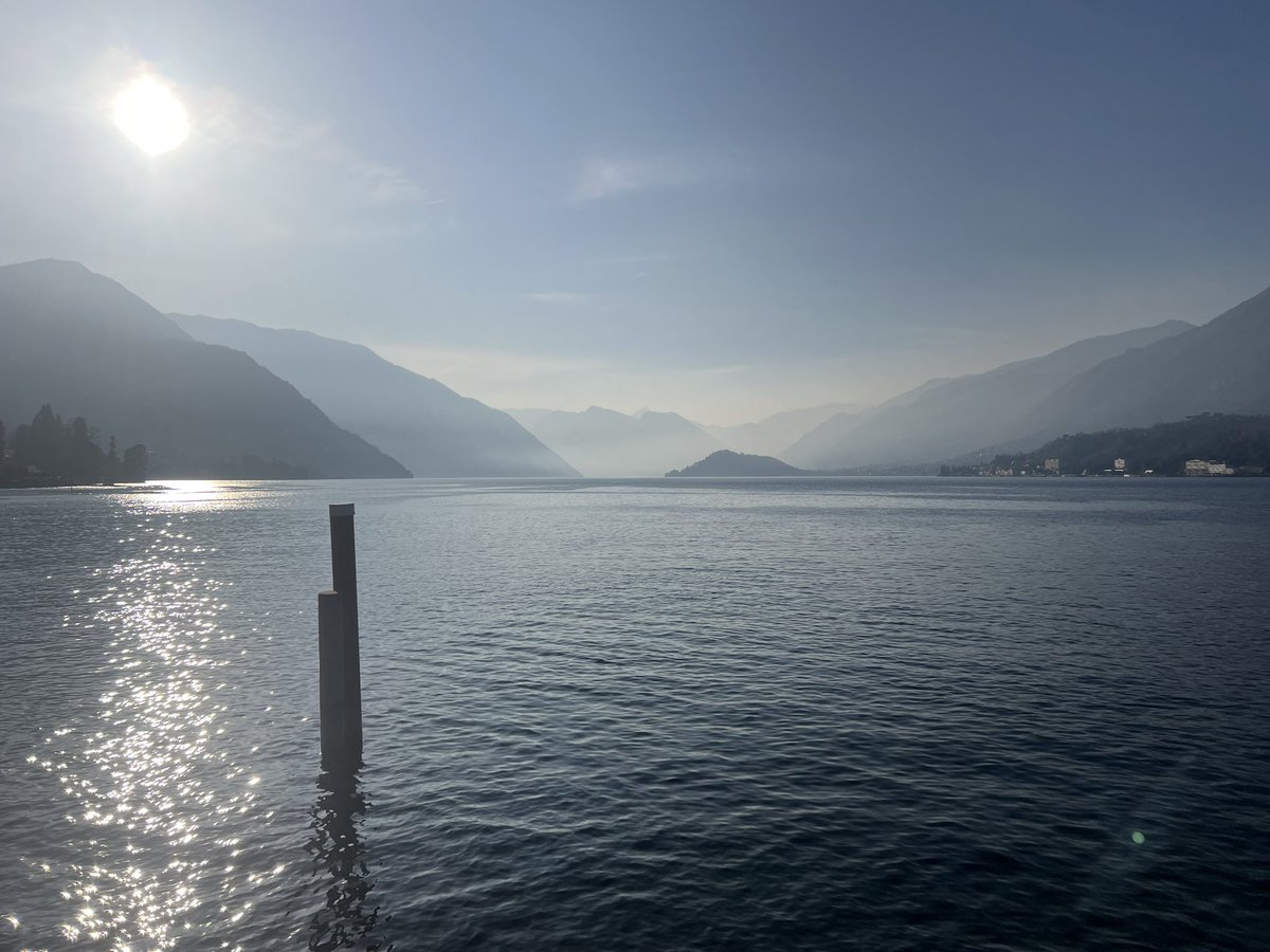 Samara E Cohen tweet media