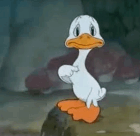 Coni_OW's tweet image. iceland: