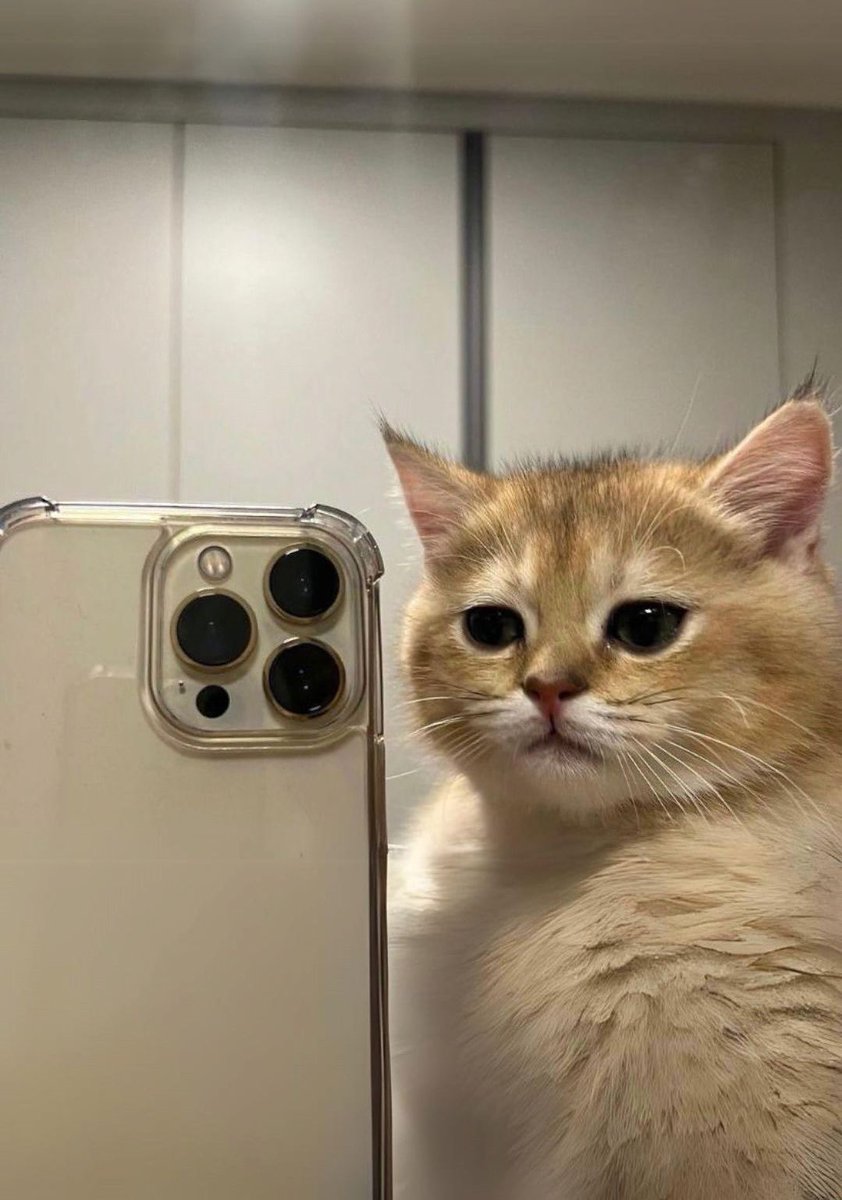 yumniqlo's tweet image. 