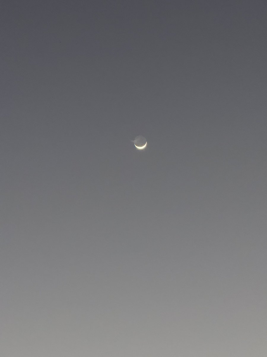 ּ؏ــڶــې ا̍ڵــمۭــﮪــڼۨــدېْۧ tweet media