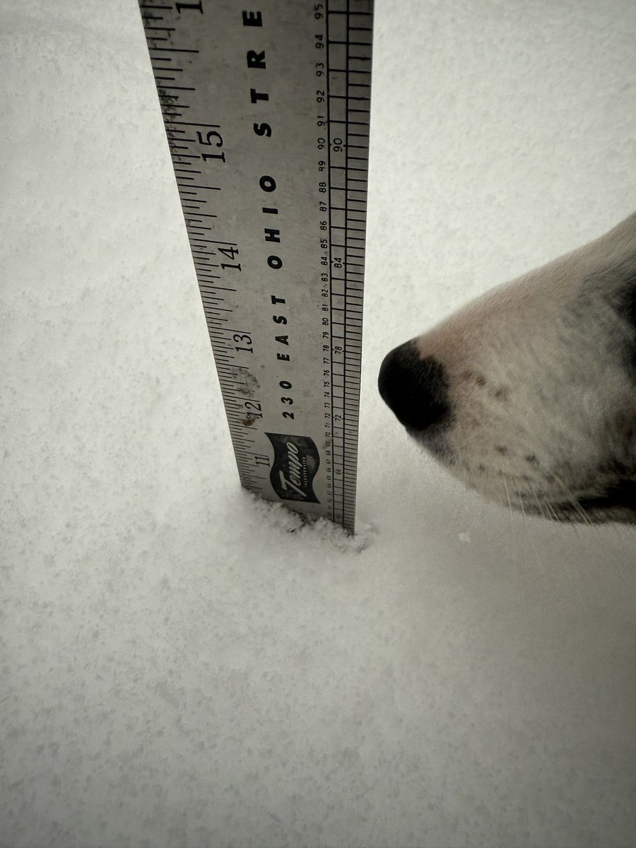 MargaretOrr's tweet photo. Remember the beauty and joy of this day one year ago. The last time we had snow like this was Valentine’s Day 1895 when 8.3” snow fell. Snowfall last year was 8-10-12”. It was truly a Winter Wonderland. #nola #nolasnow #lawx https://t.co/cdPV6fjaW5