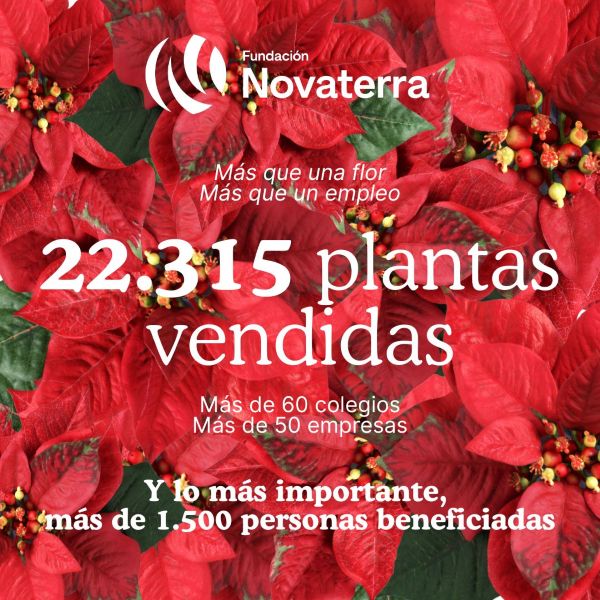Fundación Novaterra ha cerrado su campaña “Más que una Flor” 2025 batiendo todos sus registros históricos. Con un total de 22.315 plantas vendidas, la iniciativa permitirá que 1.500 personas accedan a programas de inclusión laboral.
ℹ️novaterra.org.es/?p=35709&previ…
