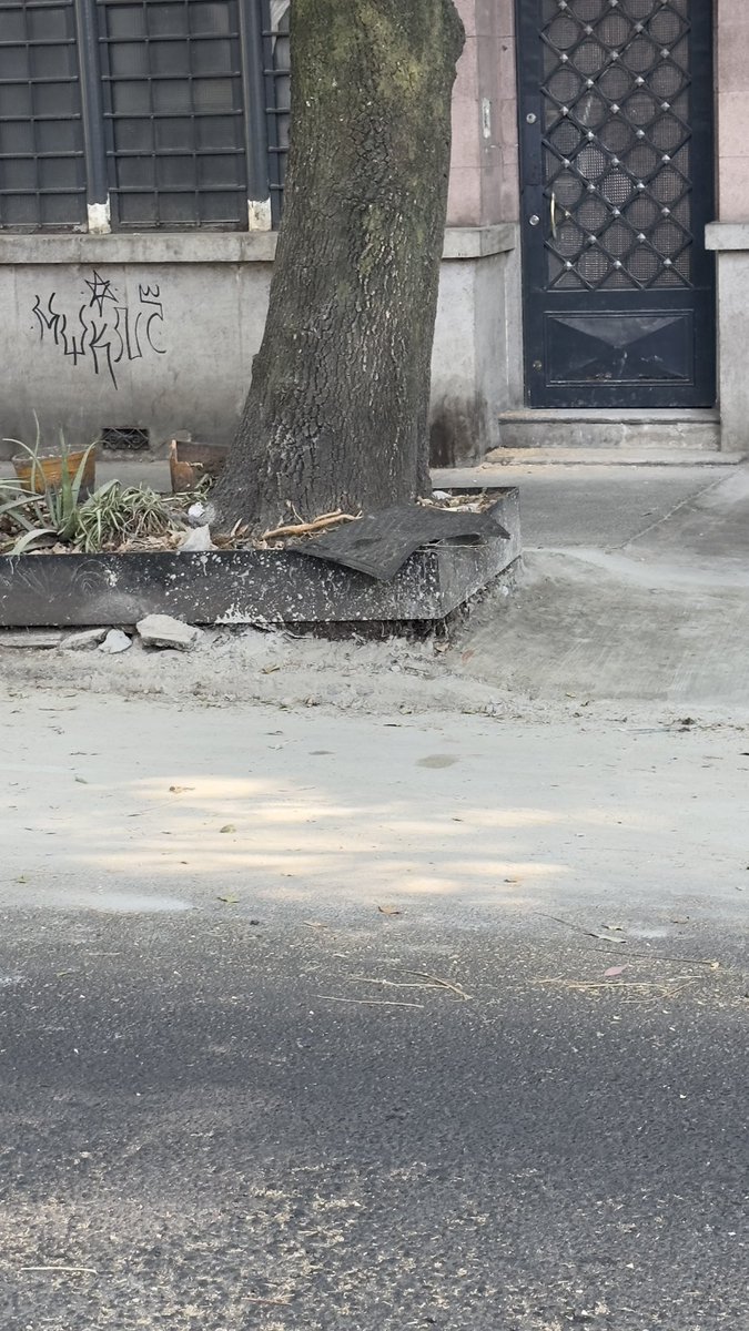 Machinermxs's tweet photo. @PedroCM009 @AlessandraRdlv Tengo más por metro cuadrado, si quieres te las mando, es un espanto que extranjeros y turistas vean la miseria de una de las zonas más afluencia del país https://t.co/bKYCrdzVKc