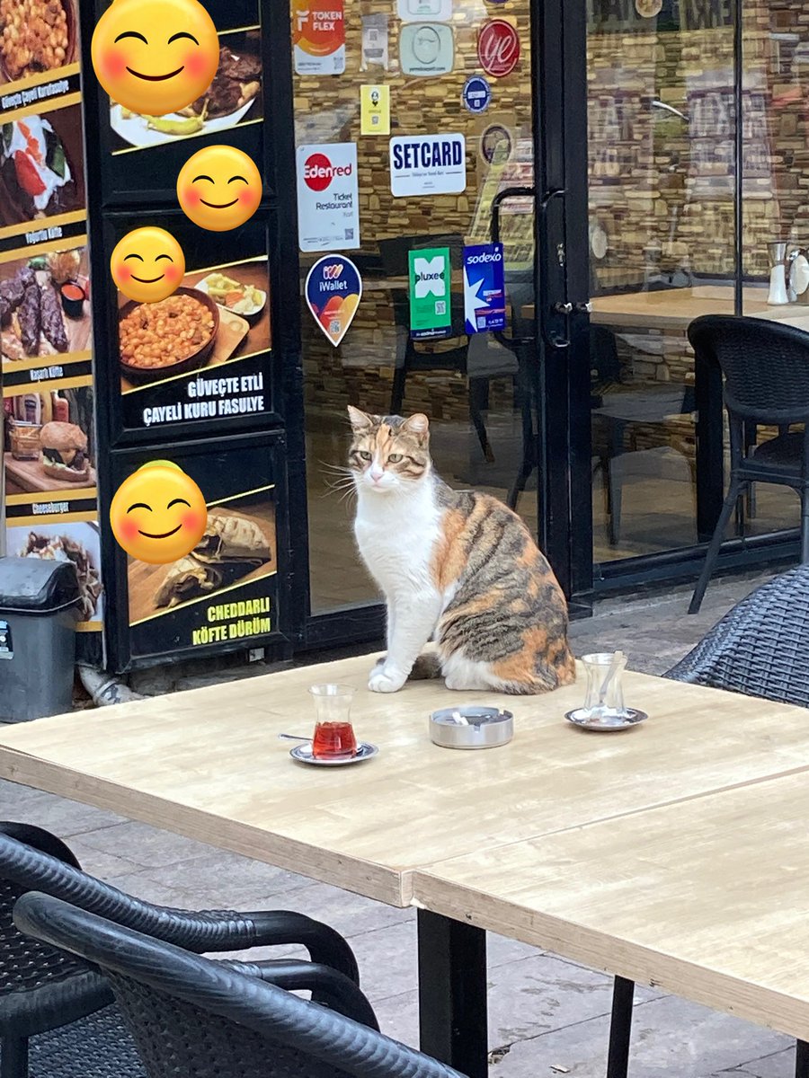 Çay veresen??? Çay🥰😅