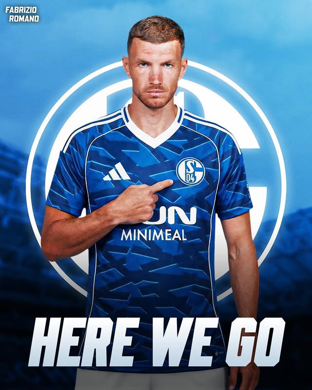 SchalkeZone tweet media