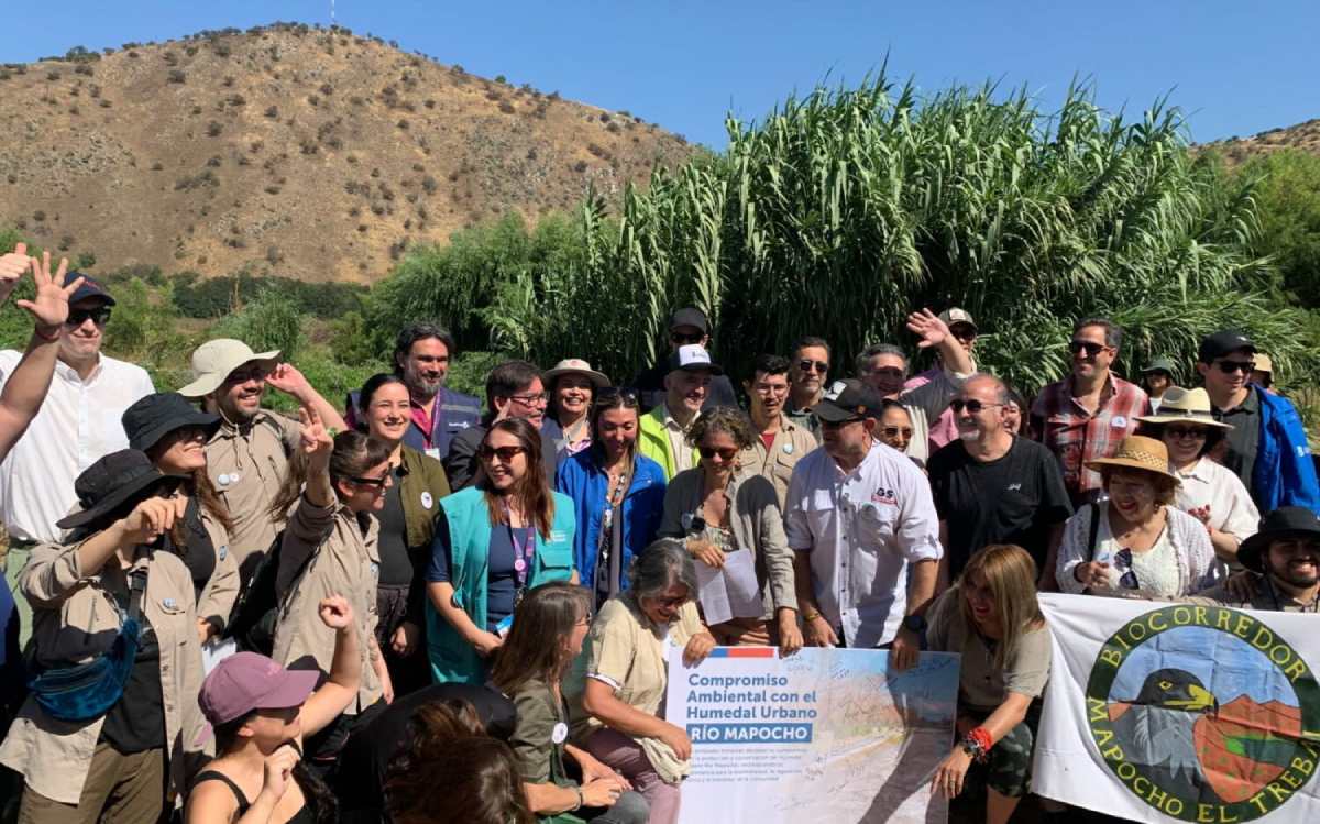 CDSustentable tweet media