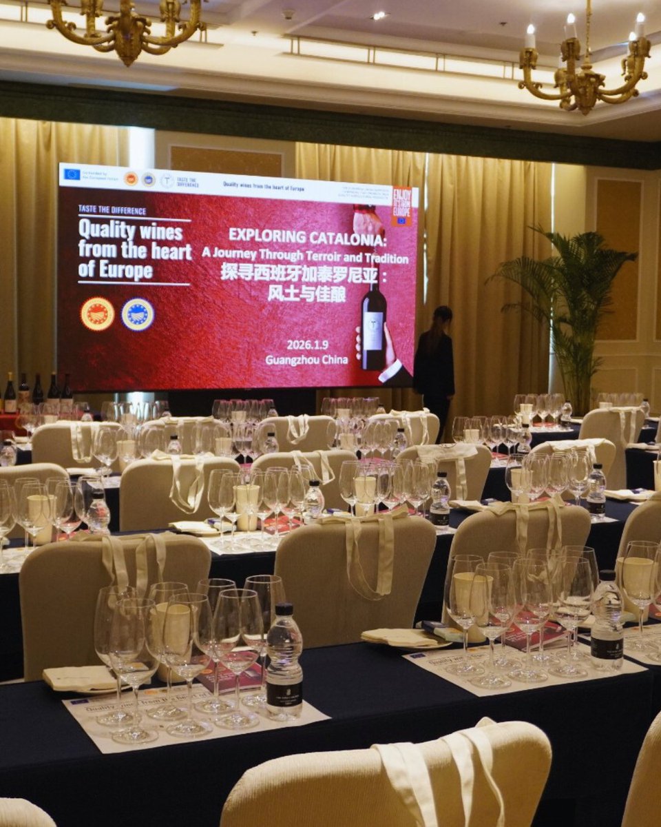 domontsant tweet media