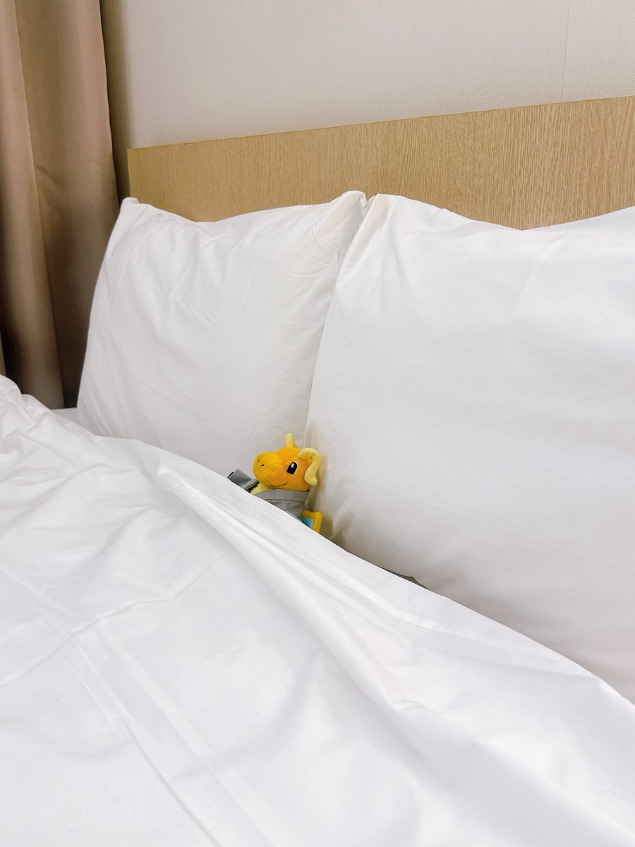 おやすみなさい😴

 #ポケぬいふかふかおふとん部