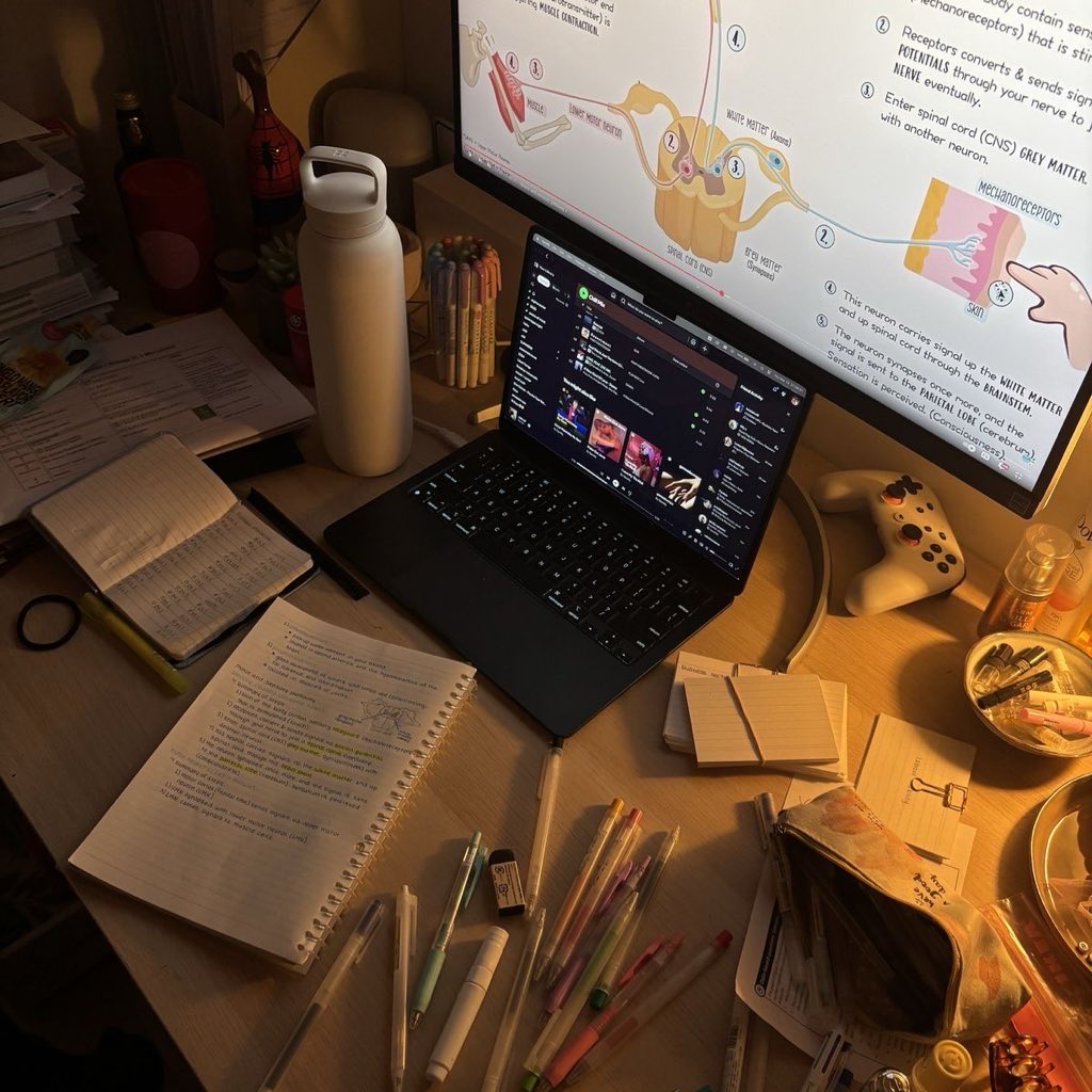 loloquermed's tweet image. ୧ ‧₊˚ #studytwt | #studytwtbr 

⋆ loise | 2008
⋆ vestibulanda de medicina⚕️
⋆ foco: enem | ufs
𐙚: livros, estudos &amp;amp; música

♡/↺ = moots!