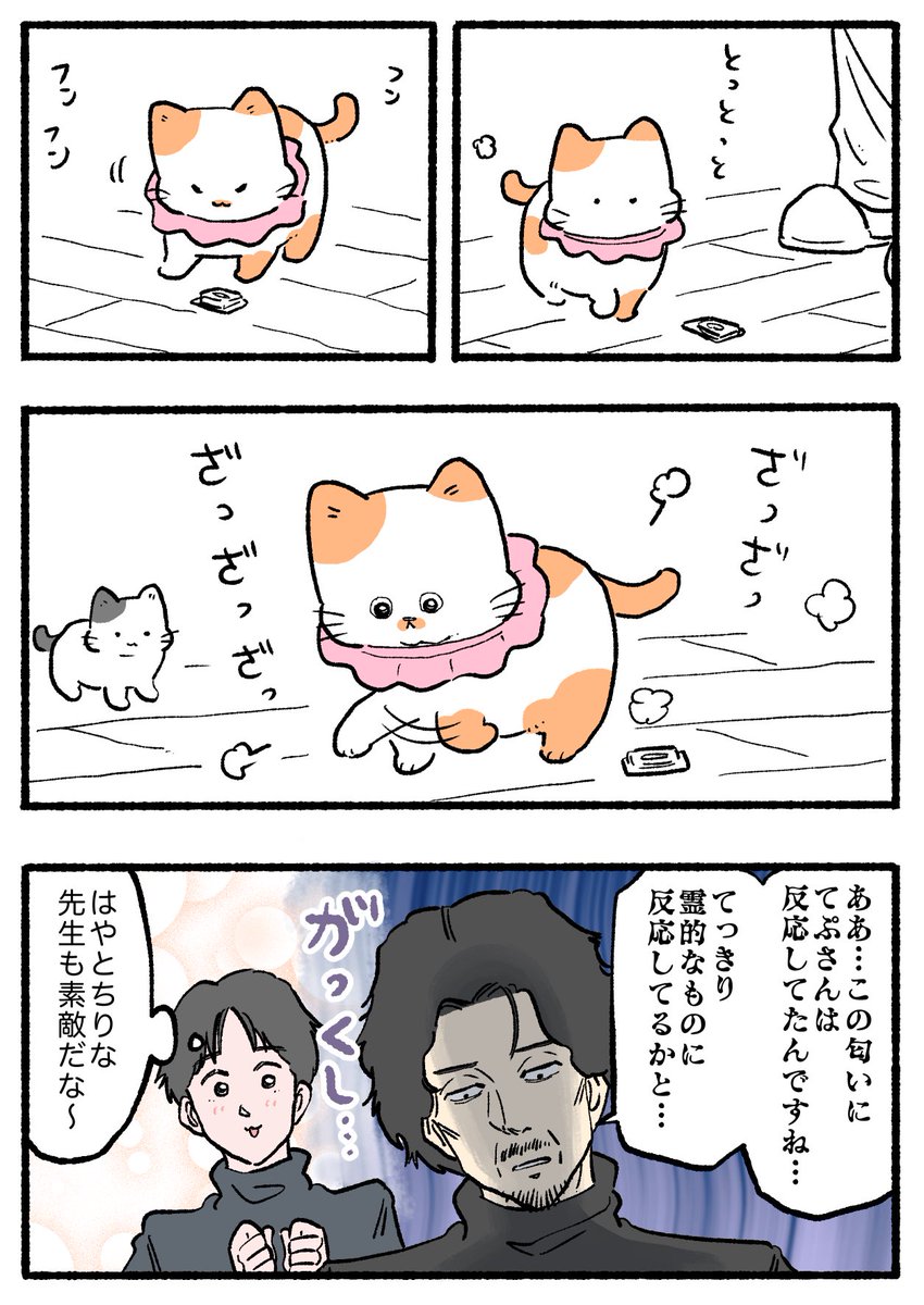 ねこに転生したおじさん。その878