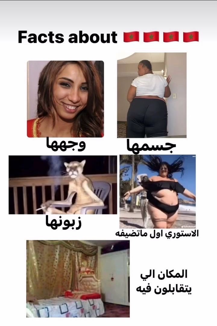 vbhgvjj's tweet image. مالوم المغربي يوم انحاش منهم